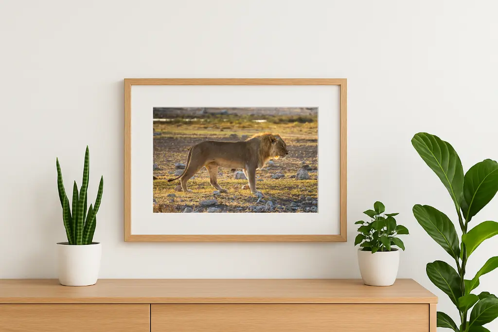 mock-up IMG_3719.webp